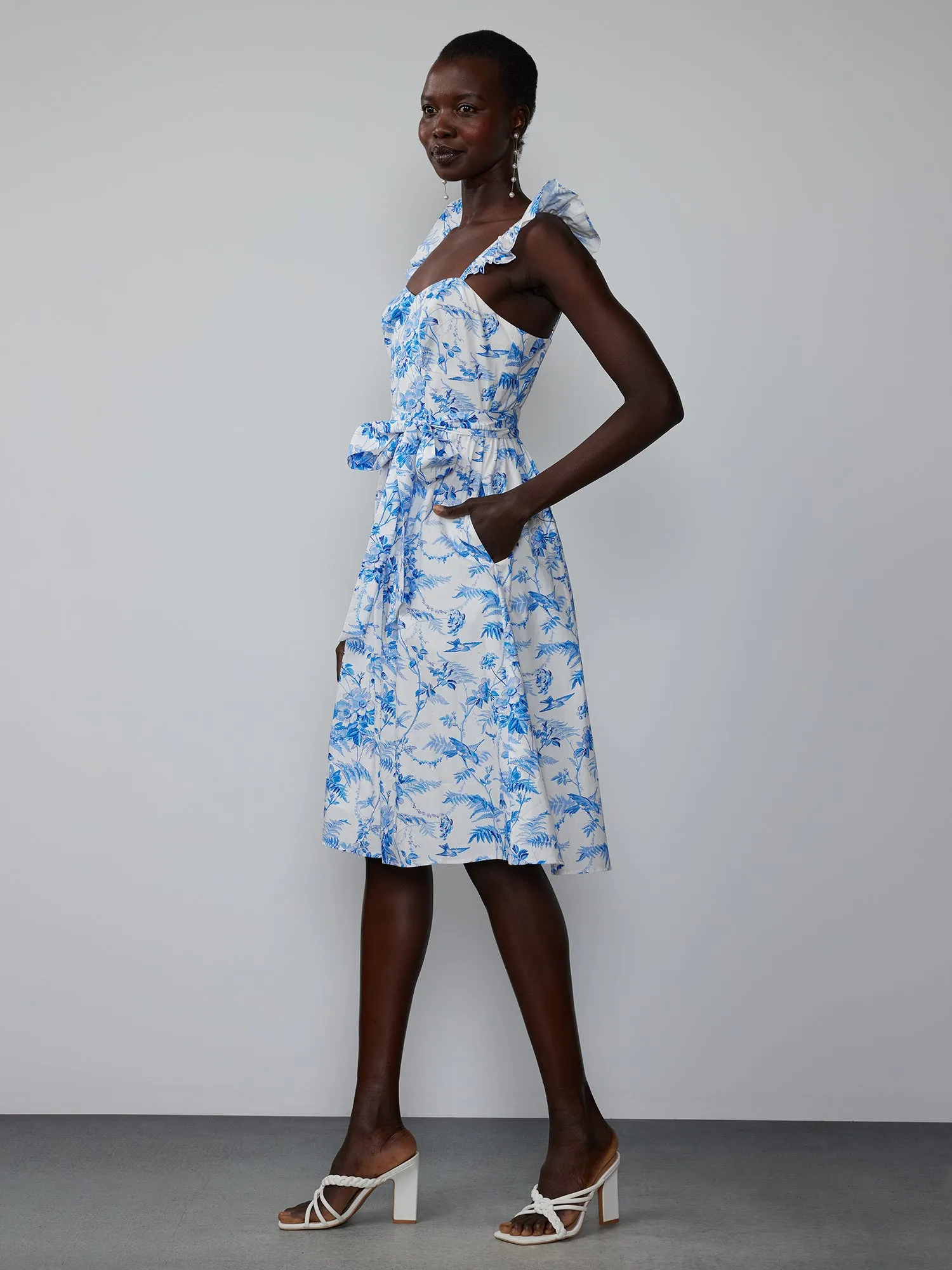 Ruffle Sleeve Floral Print Princess Seam Dress